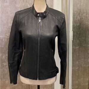 Desa Collection Women's Black perforated Leather Jacket, S